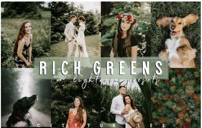 [Elements.Envato] Moody Rich Greens Outdoor Travel_0.png